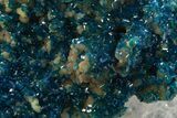 Vibrant Blue Veszelyite Crystal Cluster - China #337104-2